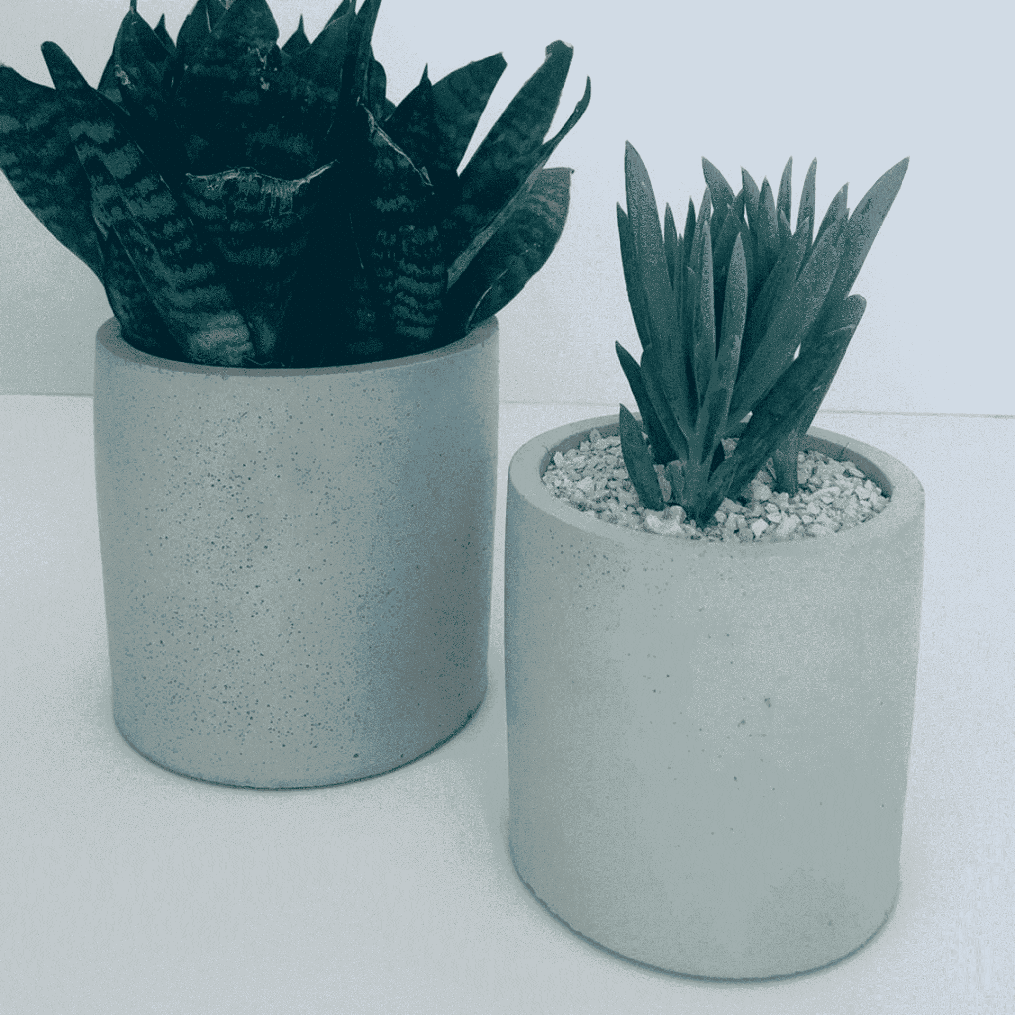 Stylish Concrete Flower Box