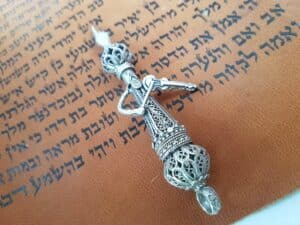Beautiful Small Torah Pointer