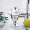 Sterling Silver Etrog Box with Reflections Design