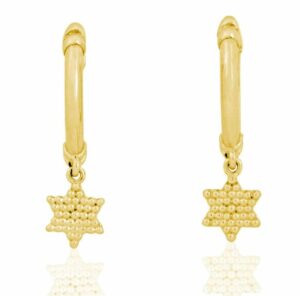 14k gold Star of David elegant earrings