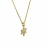 Yellow Gold Star of David Necklace Studded with Diamonds