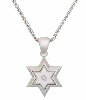 Small and Charming White Gold Star of David Pendant