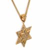 Small White Gold Star of David Pendant with Diamonds