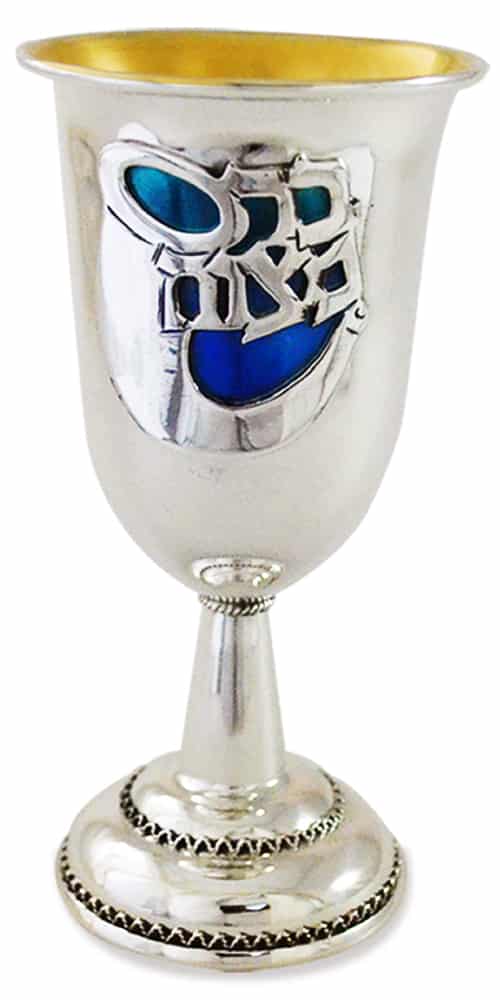 Sterling Silver Enamel Cup for Bar Mitzvah