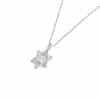 Silver Star of David and Chai Necklace
