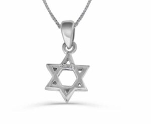 Charming and Small Star of David Silver Necklace