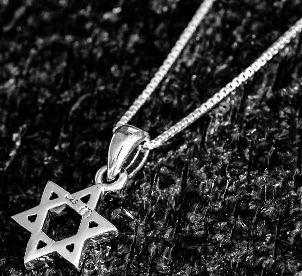 Charming and Small Star of David Silver Necklace